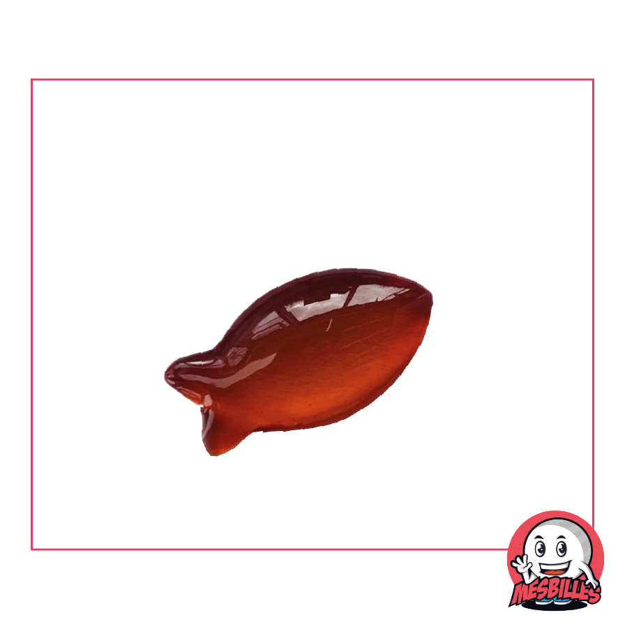 Extra-flache Murmeln Gift Orange aus transluzentem Glas – Dekoration, Spiel und Sammeln – MeineMurmeln