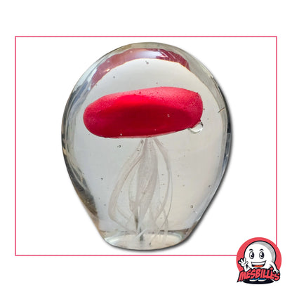 1 kleine Medusen-Murmel leuchtet im Dunkeln