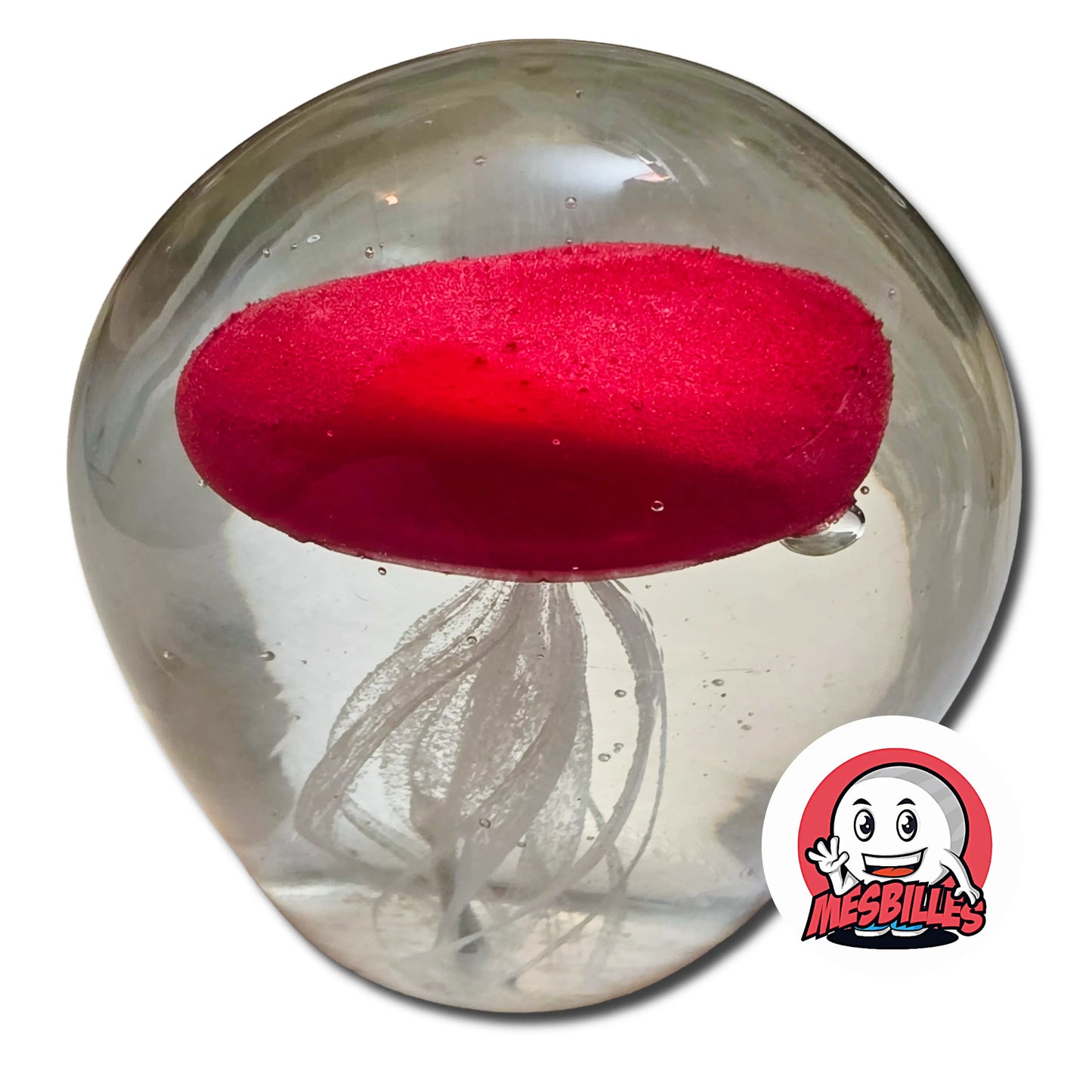 1 kleine Medusen-Murmel leuchtet im Dunkeln